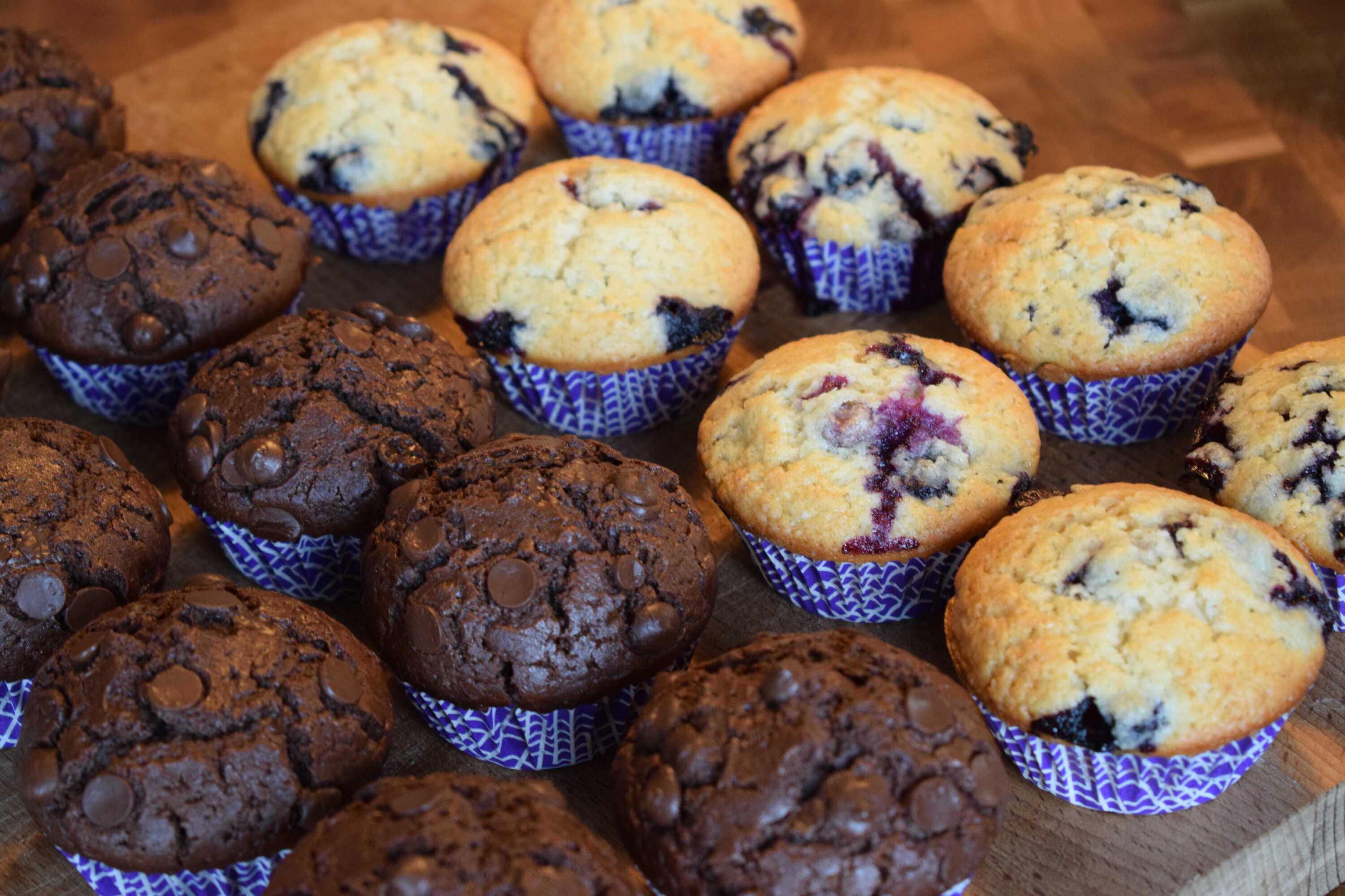Chocolate and blueberry muffins